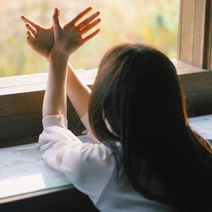 权力的堡垒 第一季